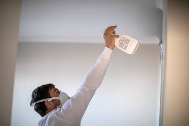 Best Toxic Mold Removal  in Underwood Petersville, AL